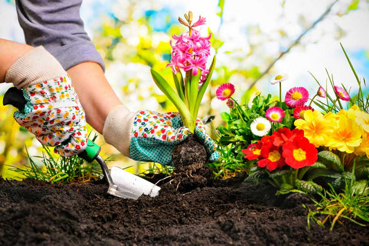 Der 2. Scheffauer Gartenmarkt 2025 - Tag der offenen Gartentür