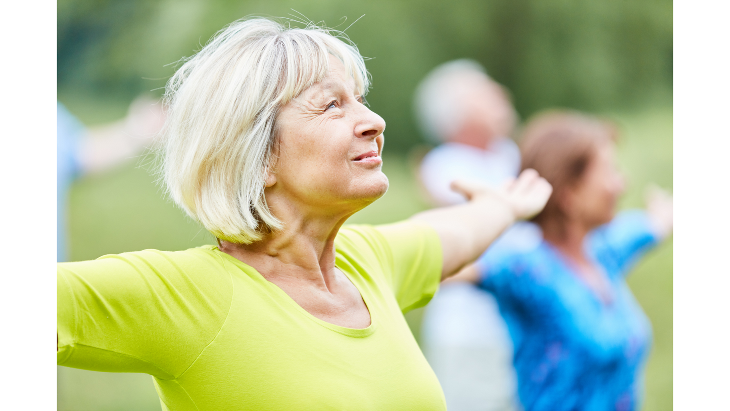 Body n´Brain Training